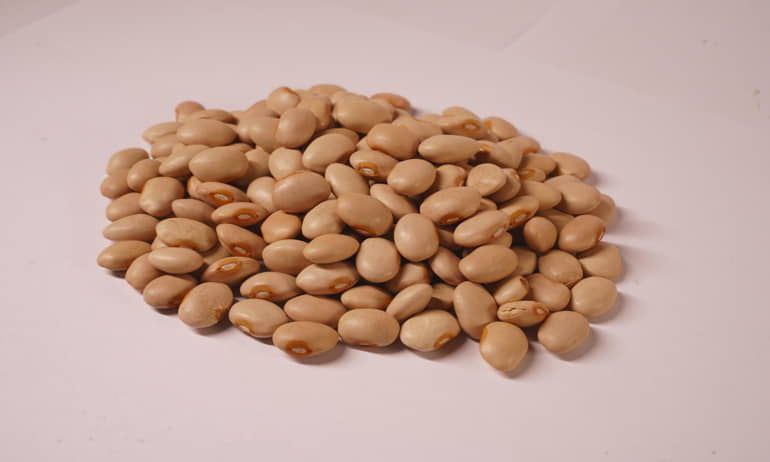 Large light brown kidney peas